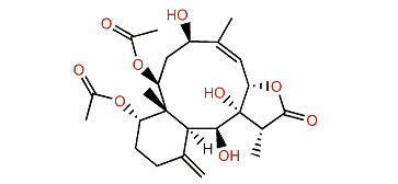 Fragilide R